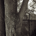 photos-20.jpg