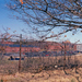 photos-31.jpg