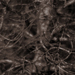 photos-1.jpg