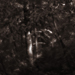 photos-5.jpg