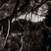 photos-8.jpg