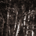 photos-16.jpg