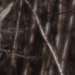 photos-17.jpg