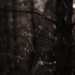photos-20.jpg