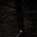 photos-24.jpg