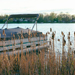 photos-4.jpg