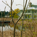 photos-20.jpg