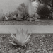 photos-10.jpg