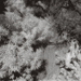 photos-26.jpg