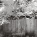 photos-28.jpg