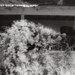 photos-31.jpg