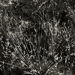 photos-5.jpg