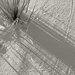 photos-10.jpg