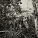 photos-12.jpg