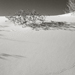 photos-14.jpg
