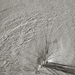 photos-17.jpg